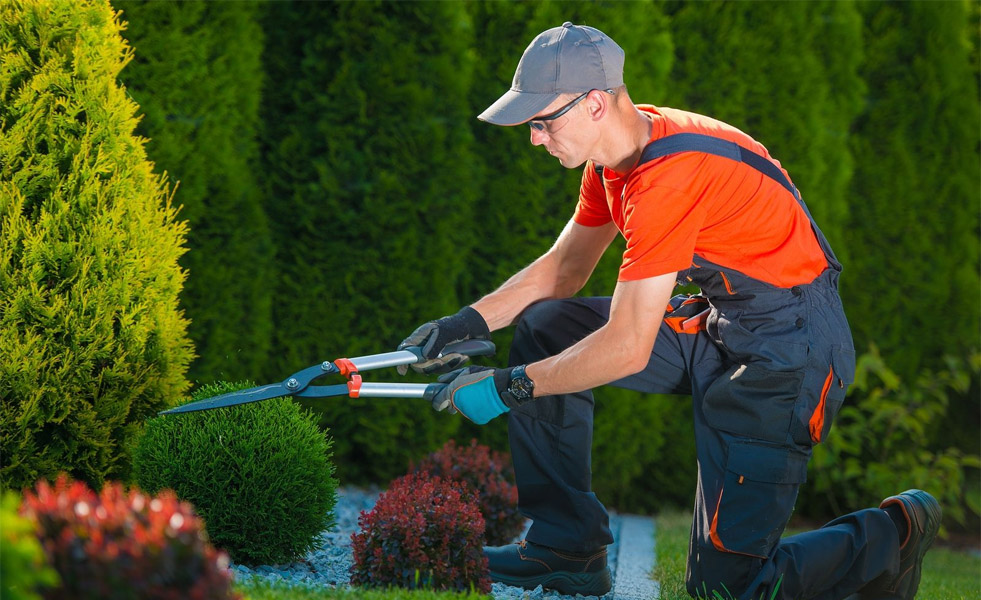 Landscaping Garden Work